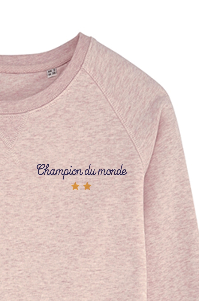 hoodies femme champion