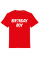 Birthday Boy - T-shirt Homme
